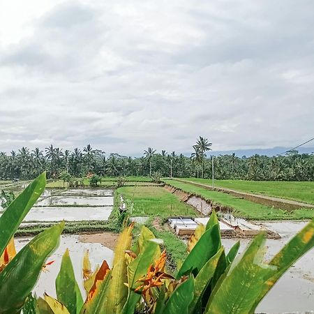 Nyoman Sandat House 1 Ubud  Luaran gambar