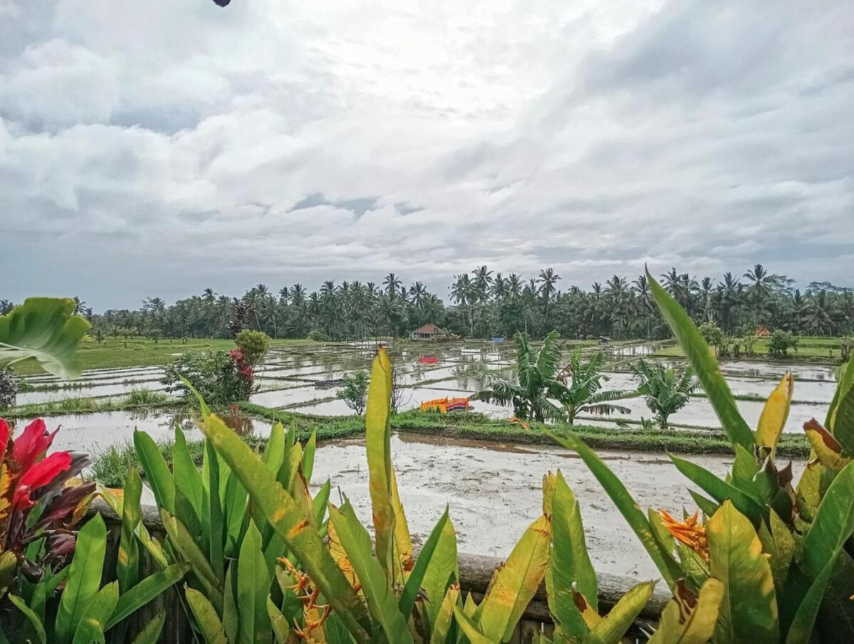 Nyoman Sandat House 1 Ubud  Luaran gambar