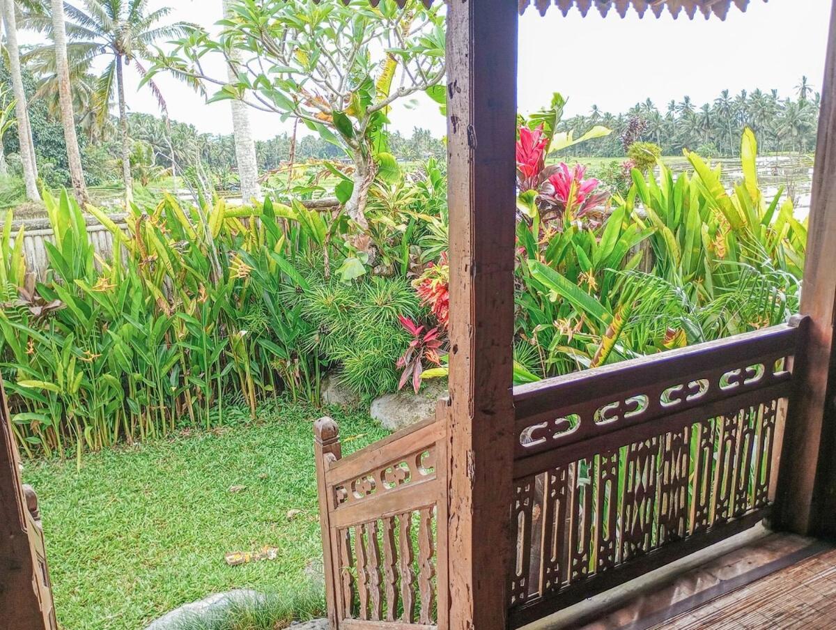 Nyoman Sandat House 1 Ubud  Luaran gambar