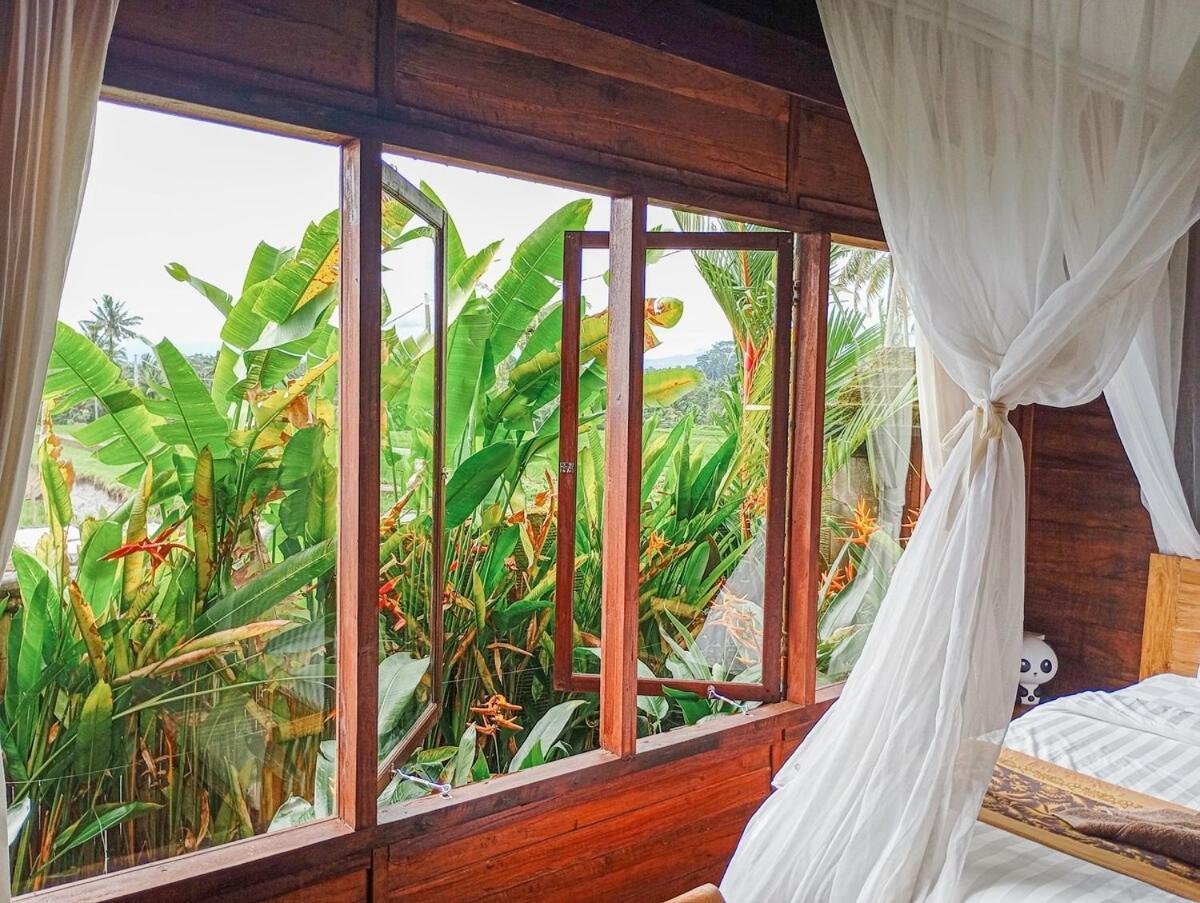 Nyoman Sandat House 1 Ubud  Luaran gambar