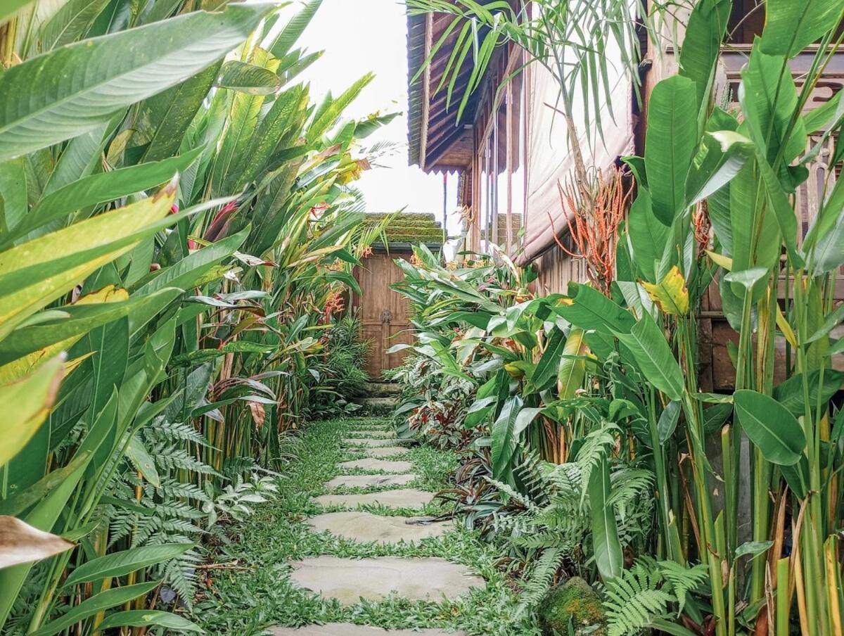 Nyoman Sandat House 1 Ubud  Luaran gambar