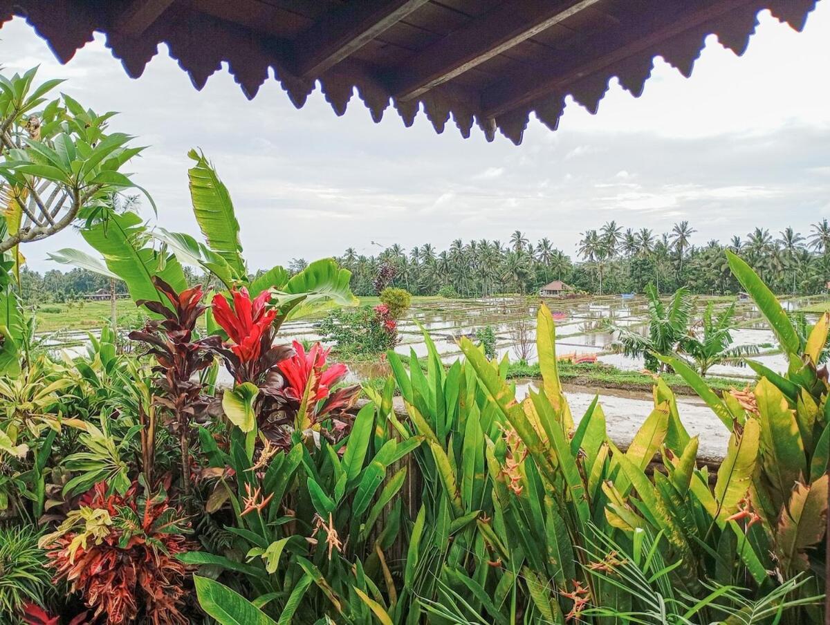 Nyoman Sandat House 1 Ubud  Luaran gambar
